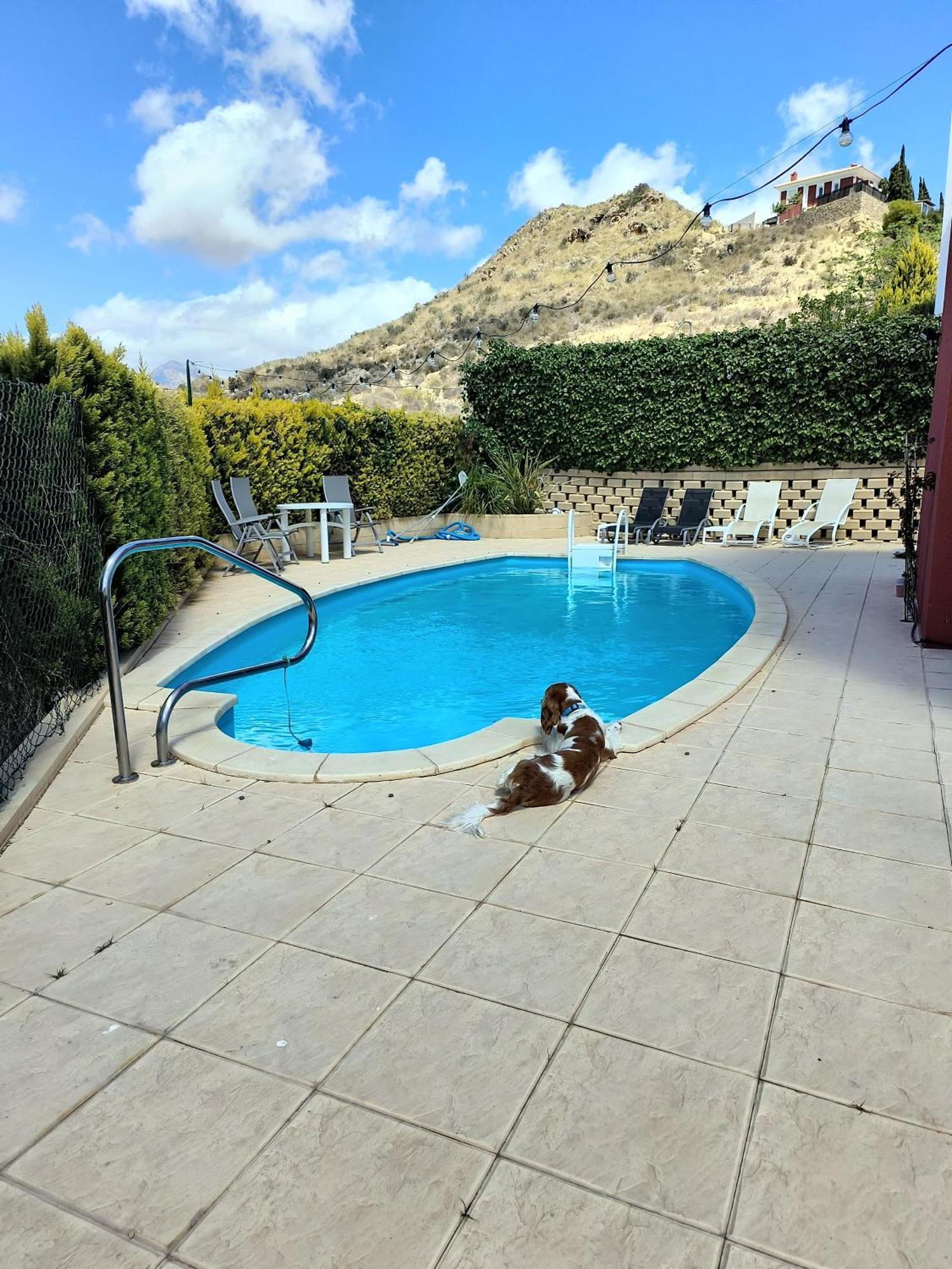 מוטקסאמל Villa Alicante - Bonalba Golf מראה חיצוני תמונה